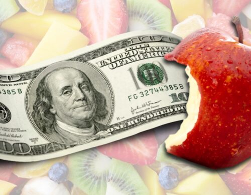 What are Index Funds