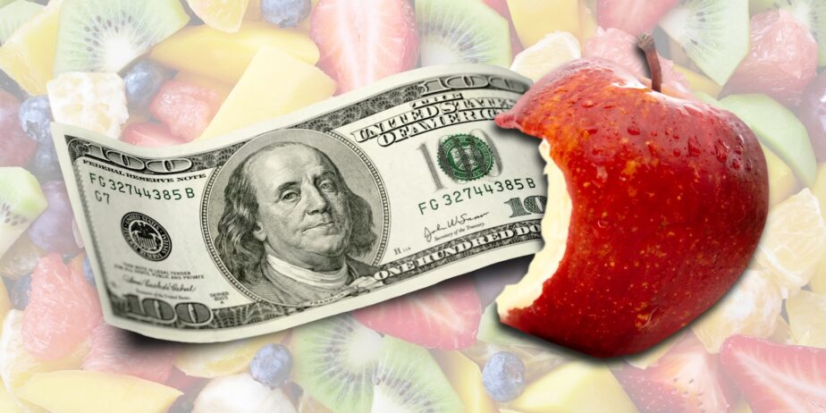 What are Index Funds