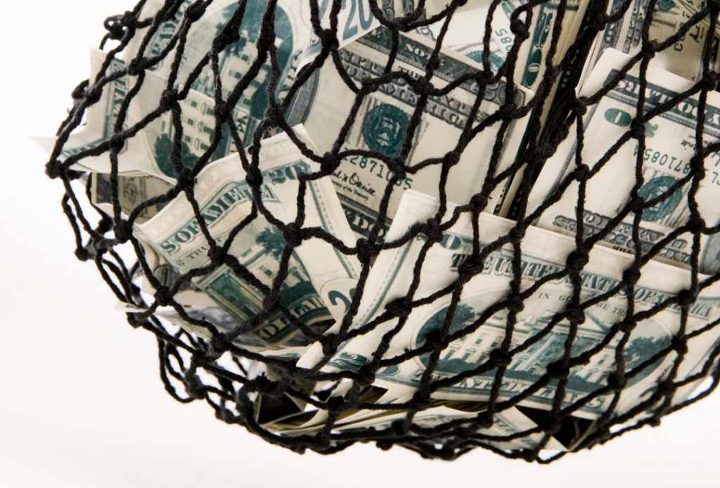 Financial Safety Net